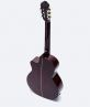 Classic Guitar DC170J