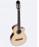 Classic Guitar DC170J