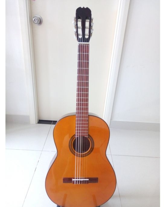 Classic guitar DC100 màu vàng Yamaha