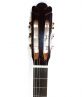 Acoustic Taylor D550-C Còng
