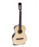 Classic Guitar DC100