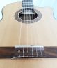 Đàn Guitar Classic DC120J