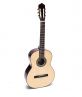 Guitar Classic DC150