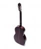 Guitar Classic DC150