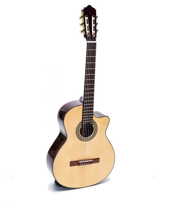 Guitar Classic DC150J