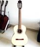 Classic Guitar DC250