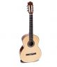 Classic Guitar DC250
