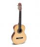 Guitar Classic DC350