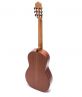 Guitar Classic DC350