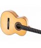 Guitar Classic DC550C