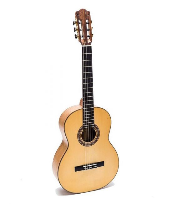 Guitar Classic DC550C