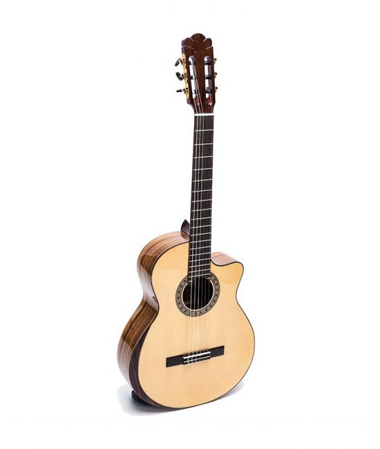 Guitar Classic DC600J