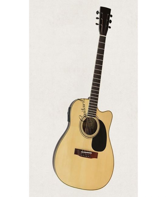 Đàn Guitar Acoustic DJ260 EQ MET B12