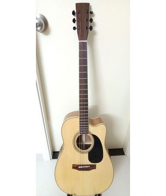 Acoustic Guitar DJ260
