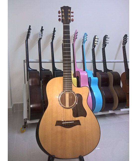 Acoustic Guitar DT450 EQ