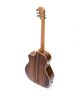 Guitar Acoustic DT700