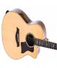 Guitar Acoustic DT700