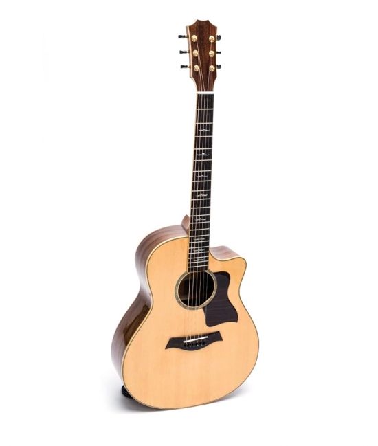 Guitar Acoustic DT700