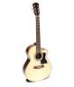 Guitar Acoustic DJ150