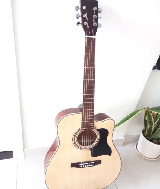 Acoustic Guitar DJ200