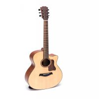 Guitar Acoustic DT350