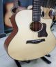 Guitar Acoustic DT350